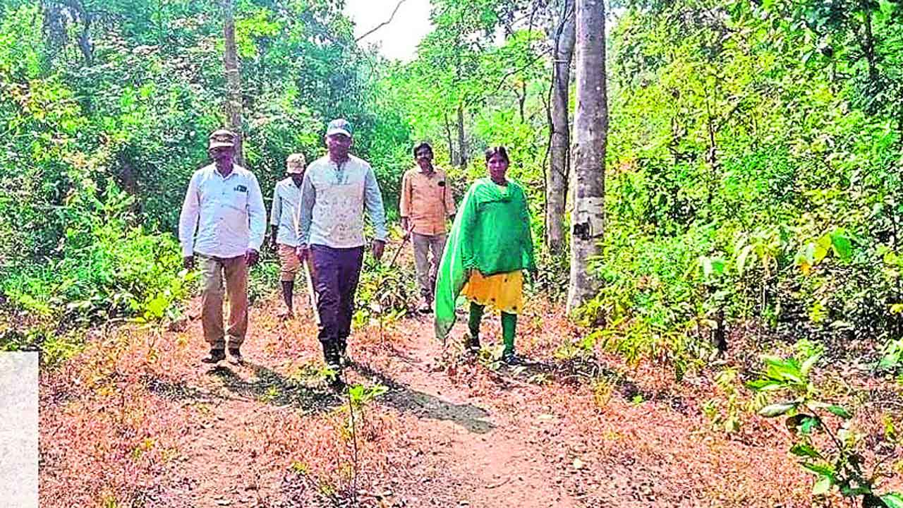 పులి పయనమెటు..?.. సరిహద్దు అడవుల్లో అలర్ట్
