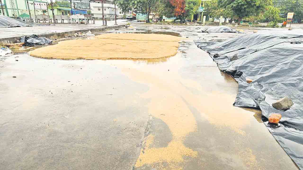 ధాన్యం వర్షార్పణం