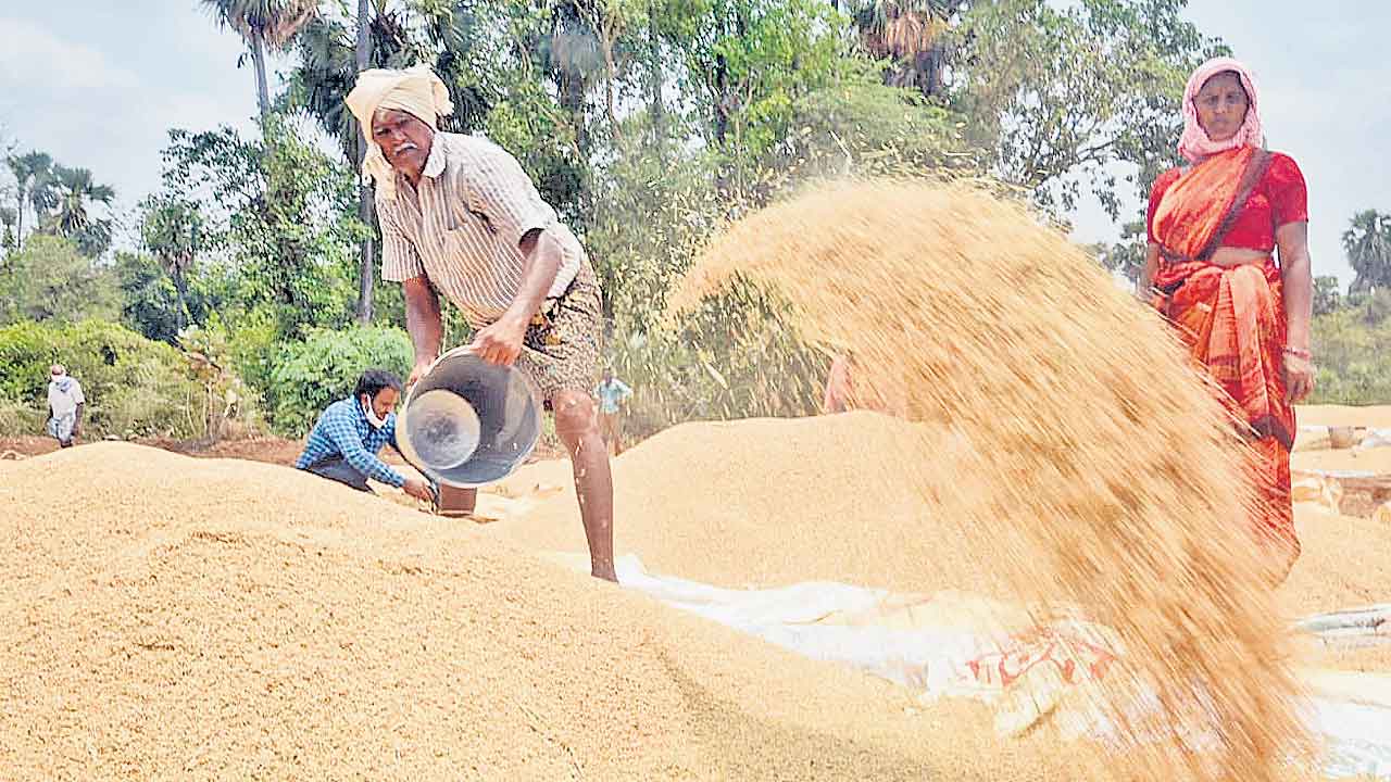 Rs 500 Bonus | చెప్పేదొకటి.. చేసేదొకటి..! సన్నాలకు రేవంత్‌ సర్కారు ఎగవేసిన బోనస్‌ 1,561 కోట్లు!