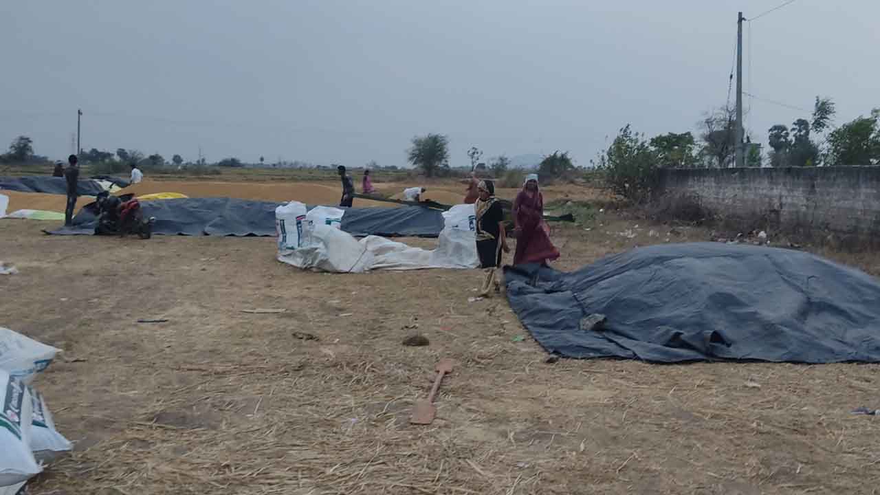 ఉమ్మడి జిల్లాపై ‘అల్పపీడనం’ ప్రభావం