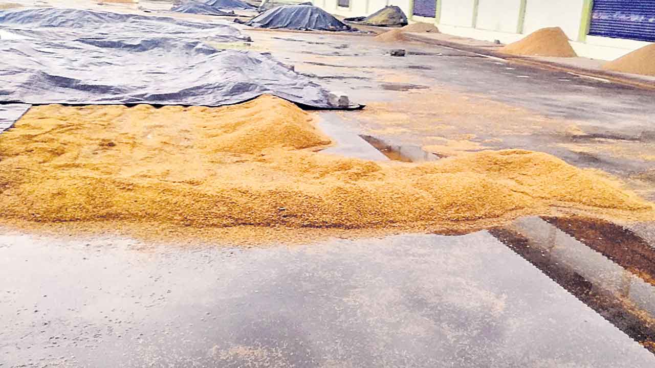 దుబ్బాకలో అకాల వర్షం