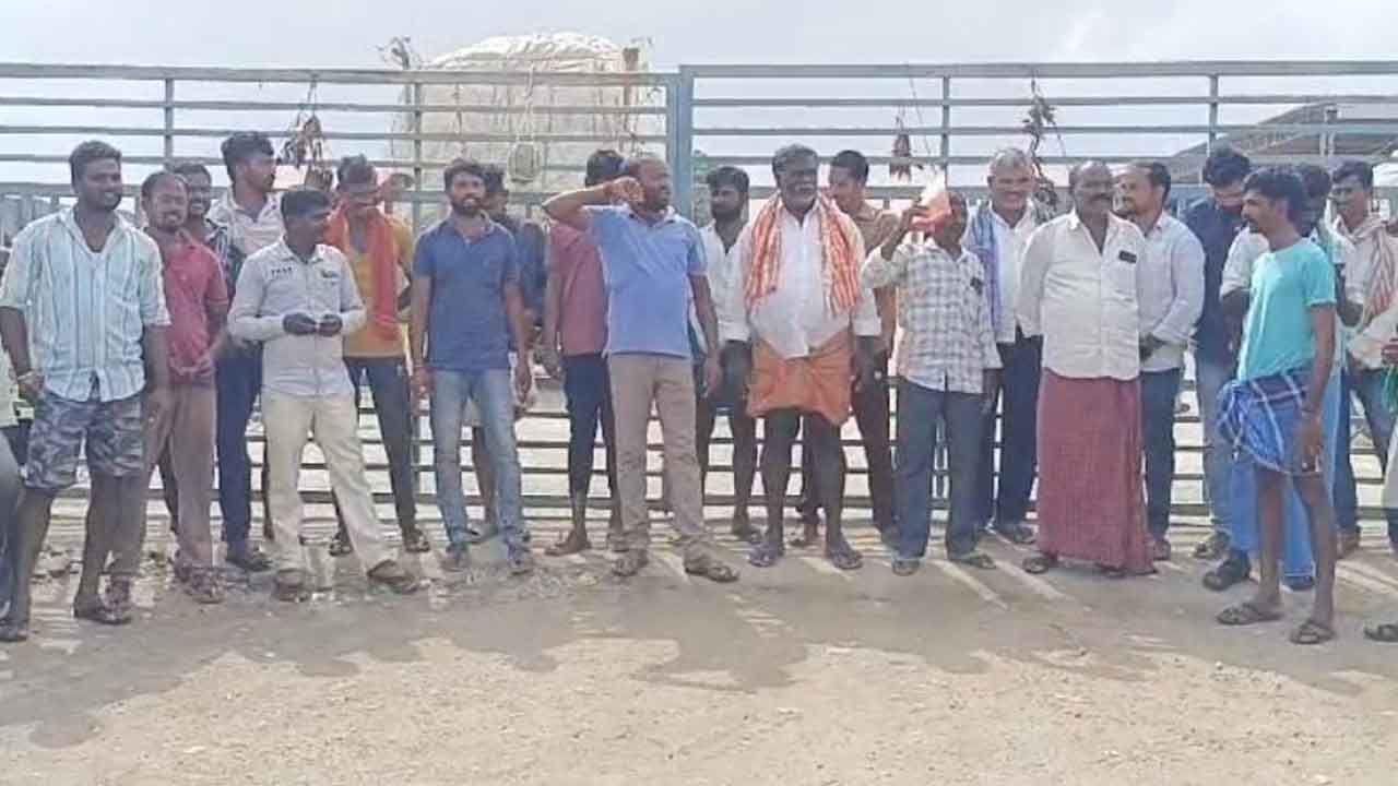 తేమ పేరుతో పత్తిలో తరుగు