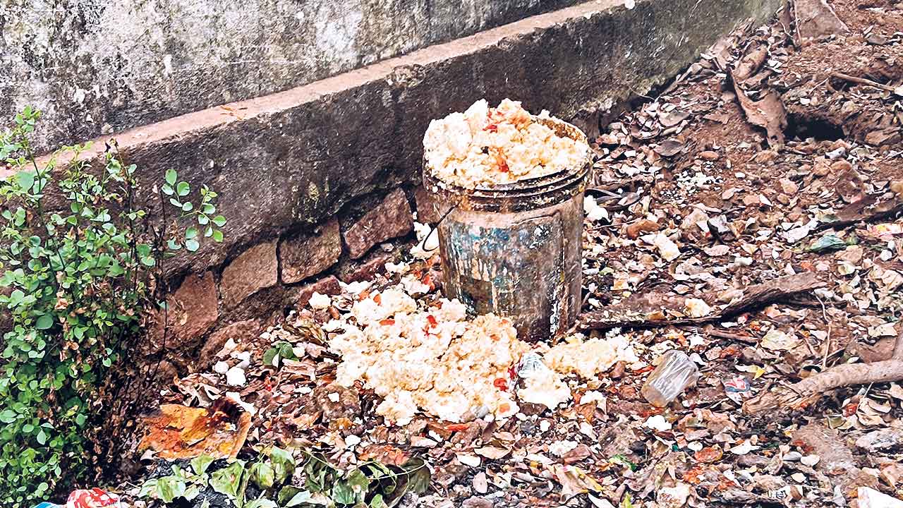 Mid Day Meals | నాసిరకం బియ్యంతో మధ్యాహ్న భోజనం.. తినలేక పడేసిన విద్యార్థులు