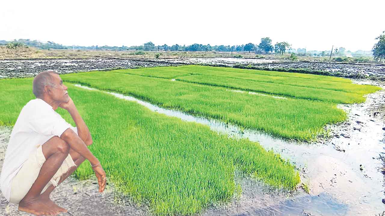 యాసంగికైనా రైతు భరోసా అందేనా