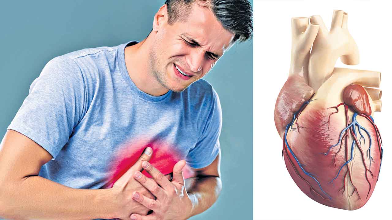 గుండె చప్పుడు విందాం