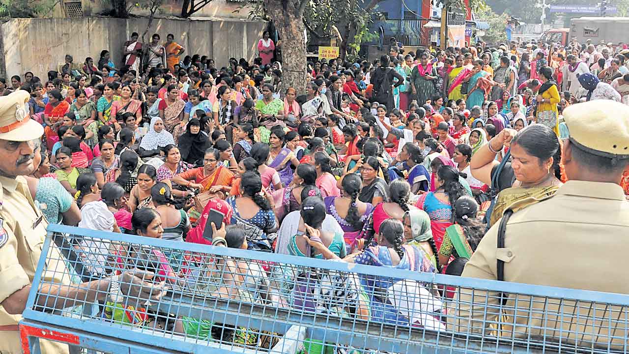 పట్టువీడని ఆశాలు