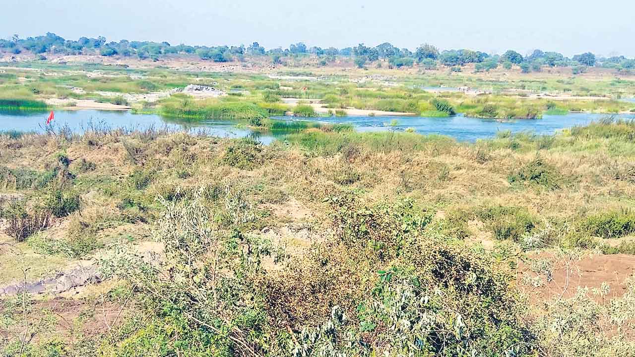 Wardha Project | అటకెక్కిన వార్ధా ప్రాజెక్టు.. కాంగ్రెస్‌ సర్కారు ఉద్దేశపూర్వక నిర్లక్ష్యం!