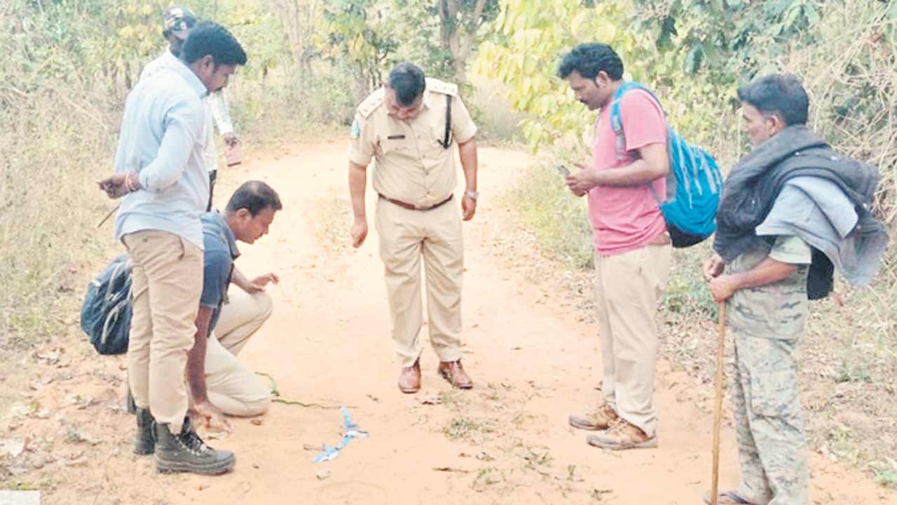 పులి అలజడి