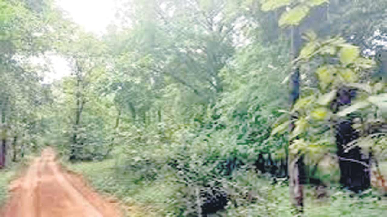 Adilabad2