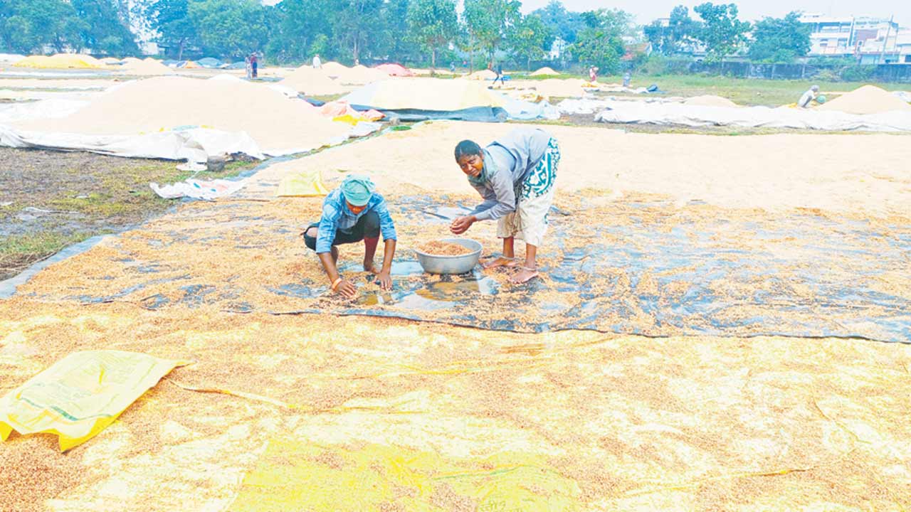 అకాల వర్షం.. అన్నదాతకు నష్టం