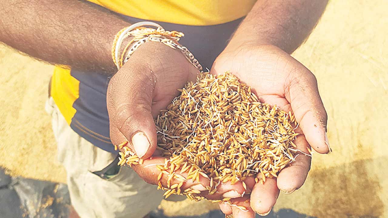 ‘అకాల’ నష్టం