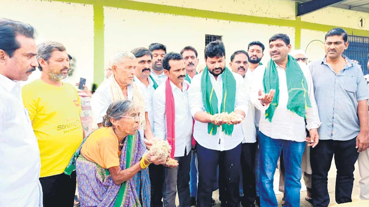 వడ్లు తడిసి మొలకెత్తుతున్నా కొనరా?