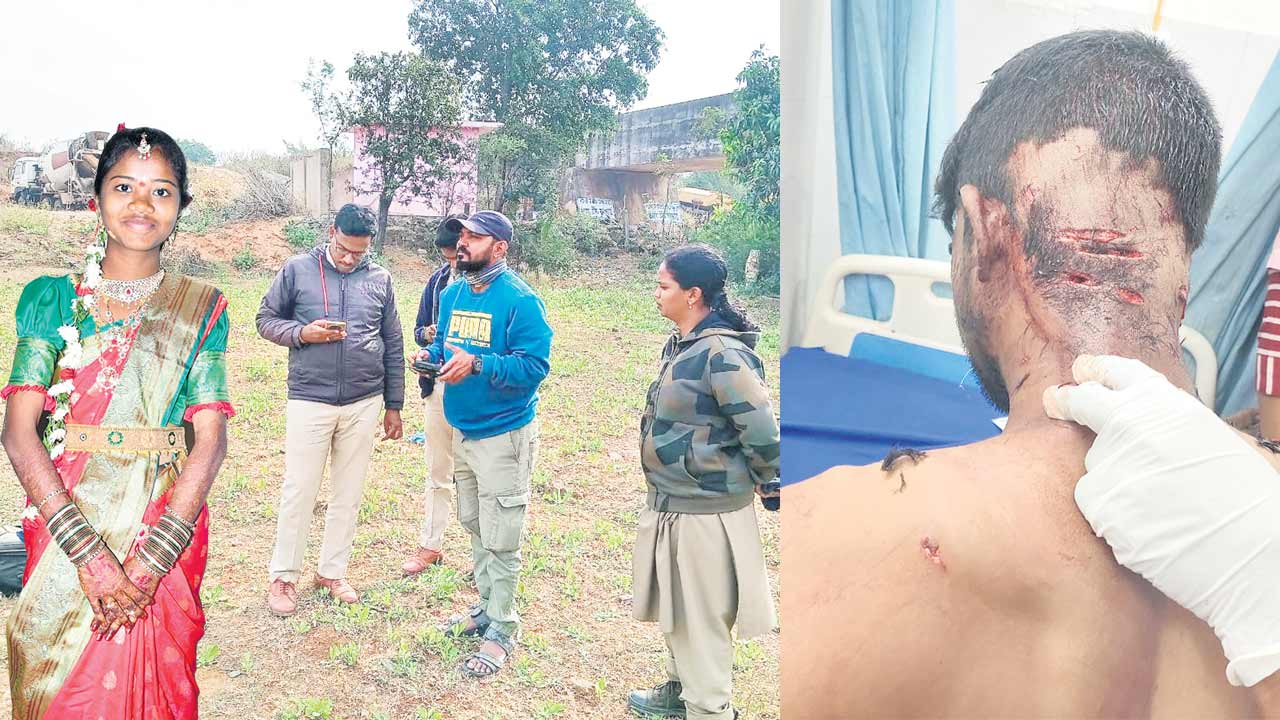 హడలెత్తిస్తున్న పులి