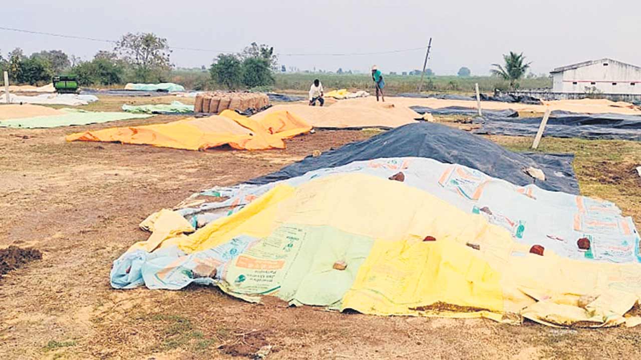Adilabad6
