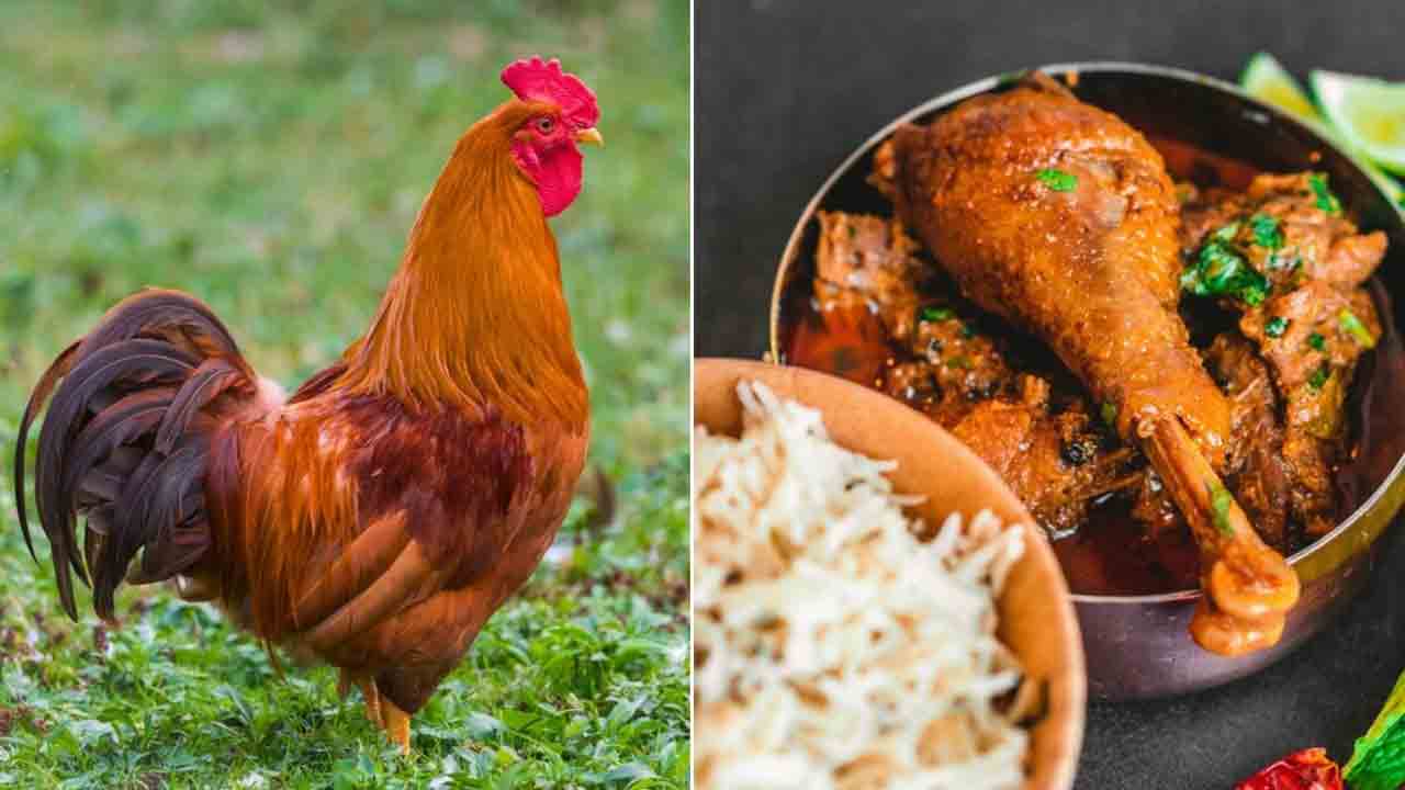 Viral news | లోన్‌ ఇస్తానని చెప్పి రూ.39 వేల నాటు కోళ్లు తిన్న బ్యాంక్‌ మేనేజర్‌..!