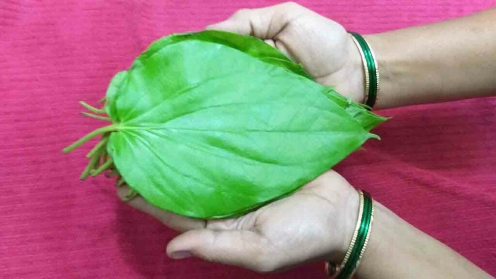 Betel Leaf For Hair