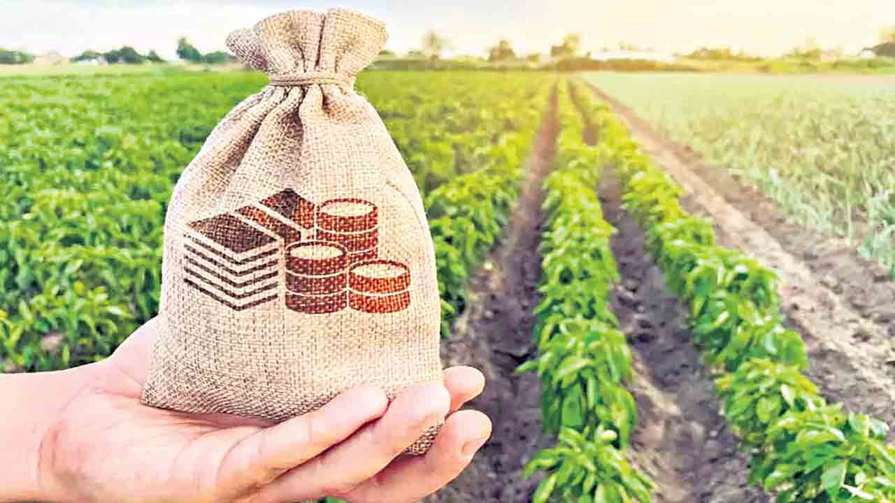 Rythu Bharosa | కుటుంబంలో ఒక్కరికే రైతు భరోసా?.. ఇంట్లో ఎంతమంది రైతులున్నా 7 ఎకరాలకే!