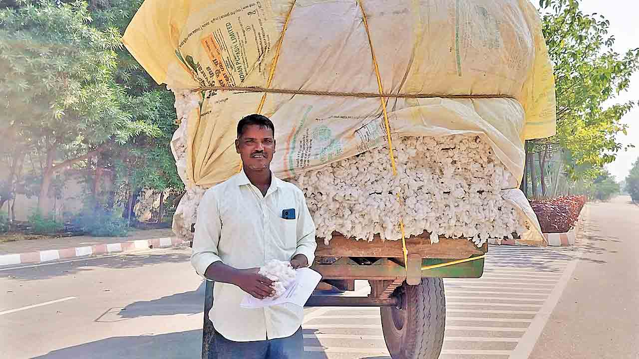 పత్తి కొనండి మహాప్రభో..