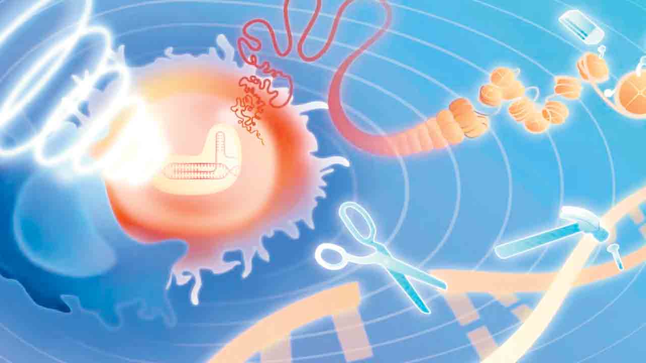 Cancer | రిమోట్‌ కంట్రోల్‌ జన్యు చికిత్సతో.. క్యాన్సర్‌కు చెక్‌