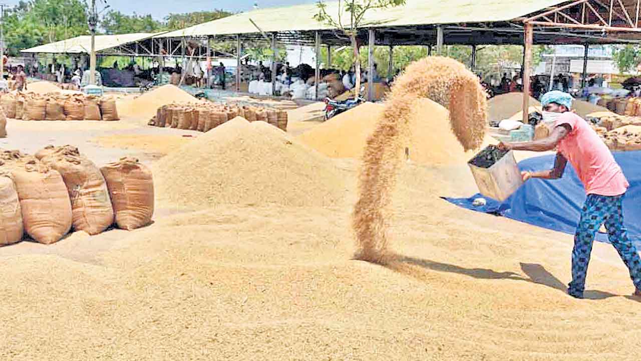 Grain Center