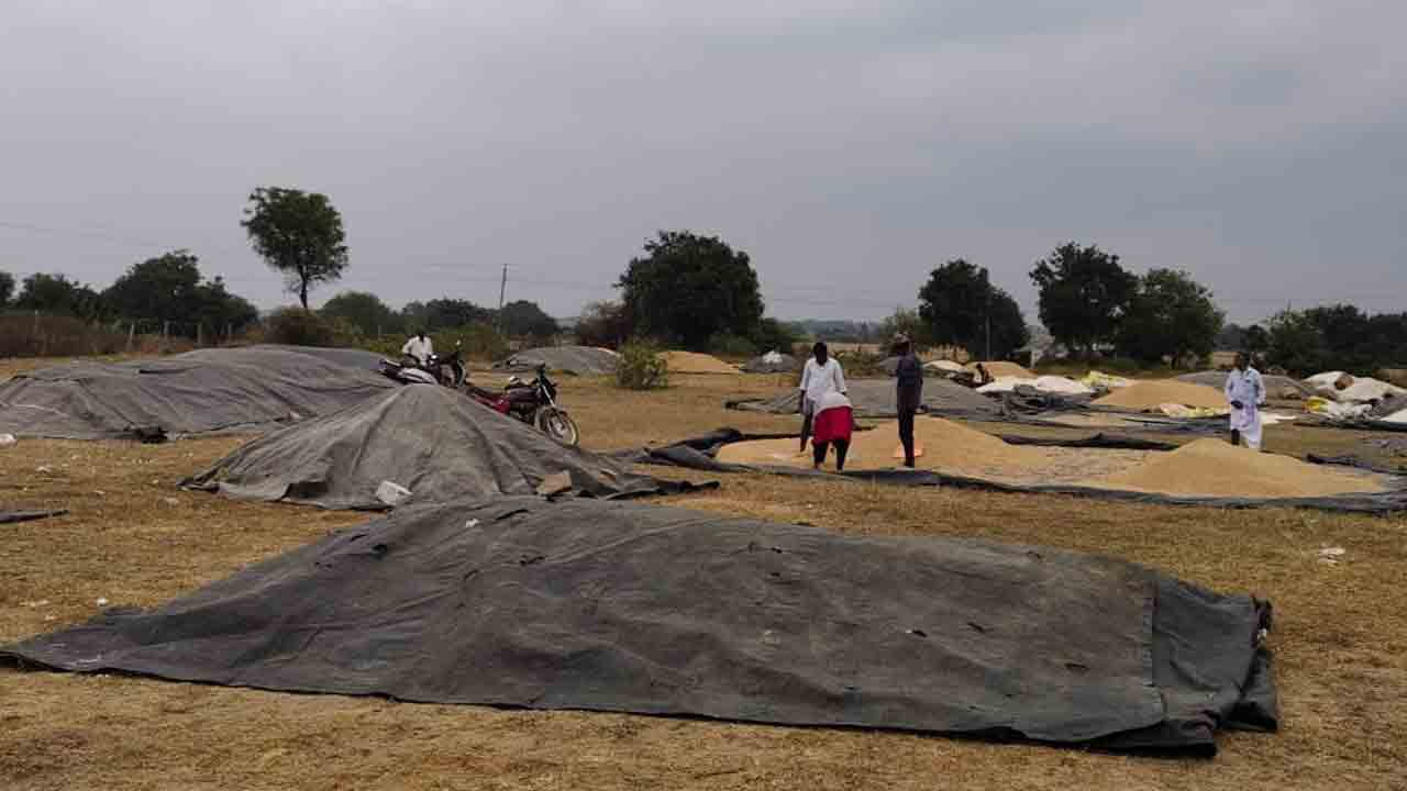 గింజనూ కొనలే..