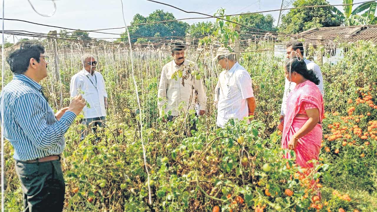 Dr Rajireddy | మోతాదుకు మించితే భూ సారం తగ్గుతుంది.. ఉద్యాన వర్సిటీ వీసీ రాజిరెడ్డి