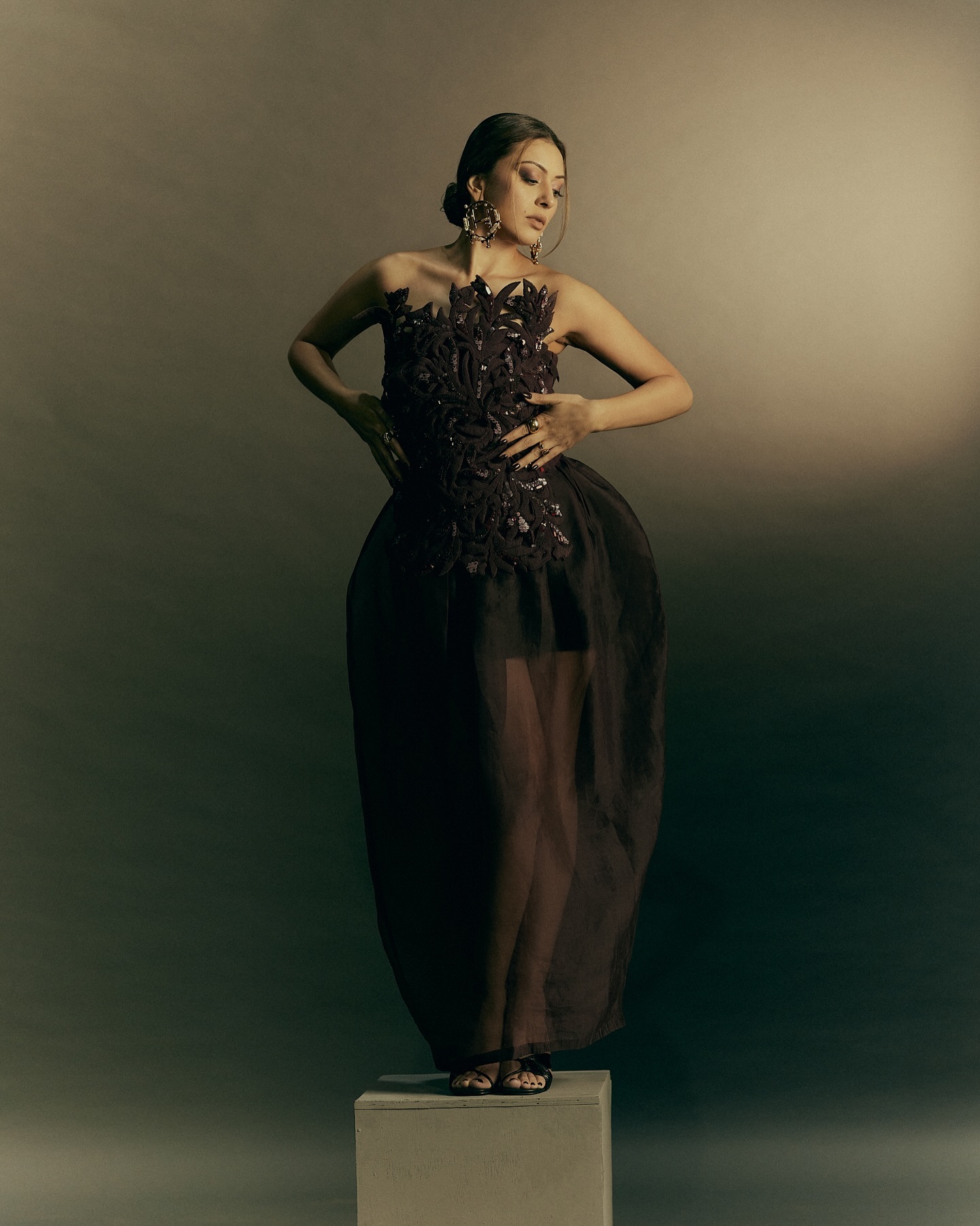 Hansika Motwani (1)
