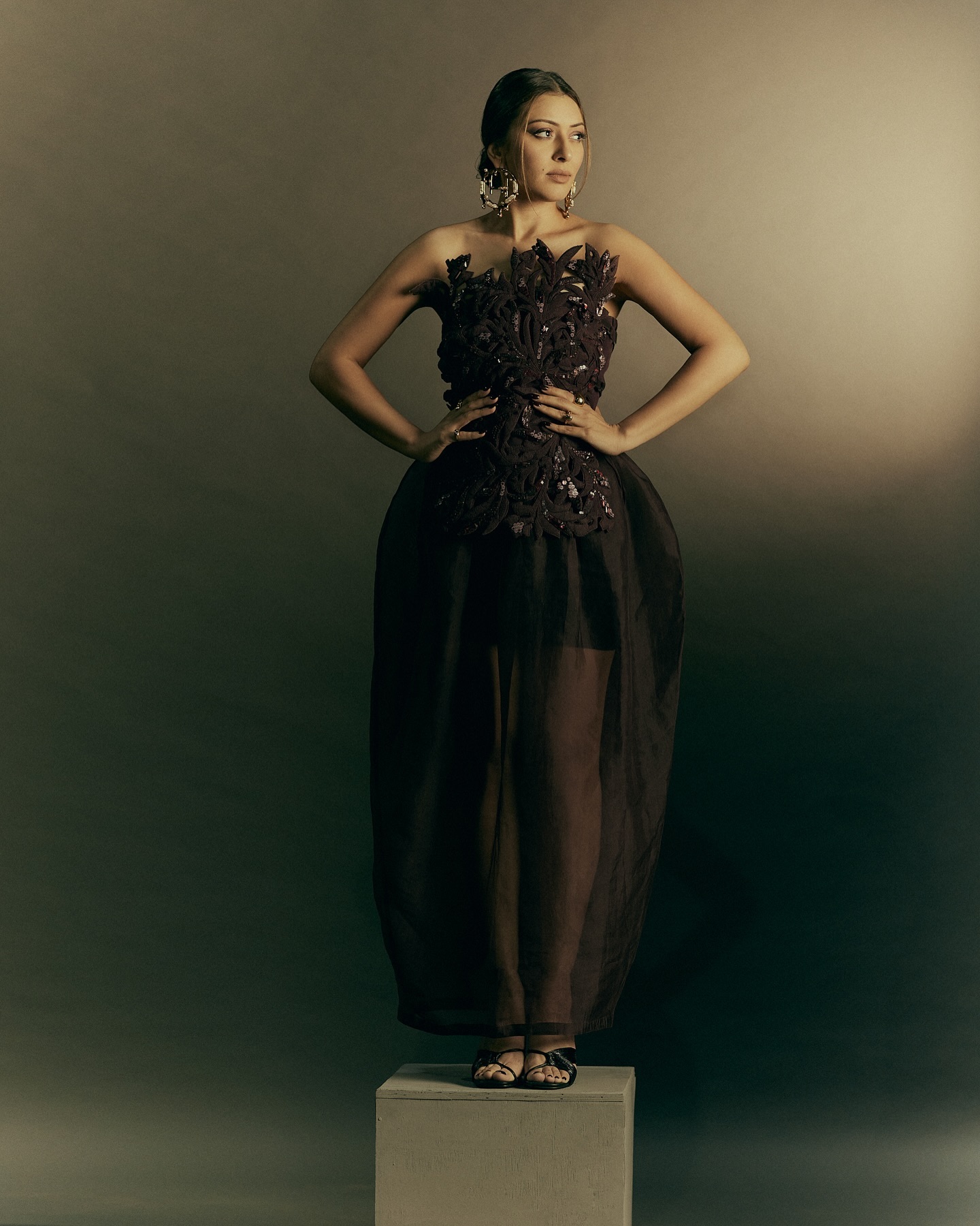 Hansika Motwani (26)