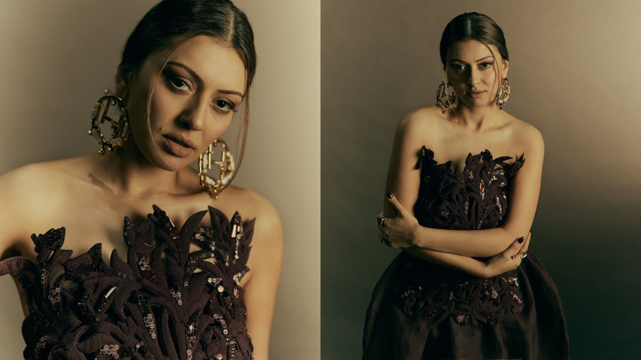 Hansika Motwani | చాక్లెట్ గౌనులో హన్సిక మోత్వాని అందాలు అద‌ర‌హో..