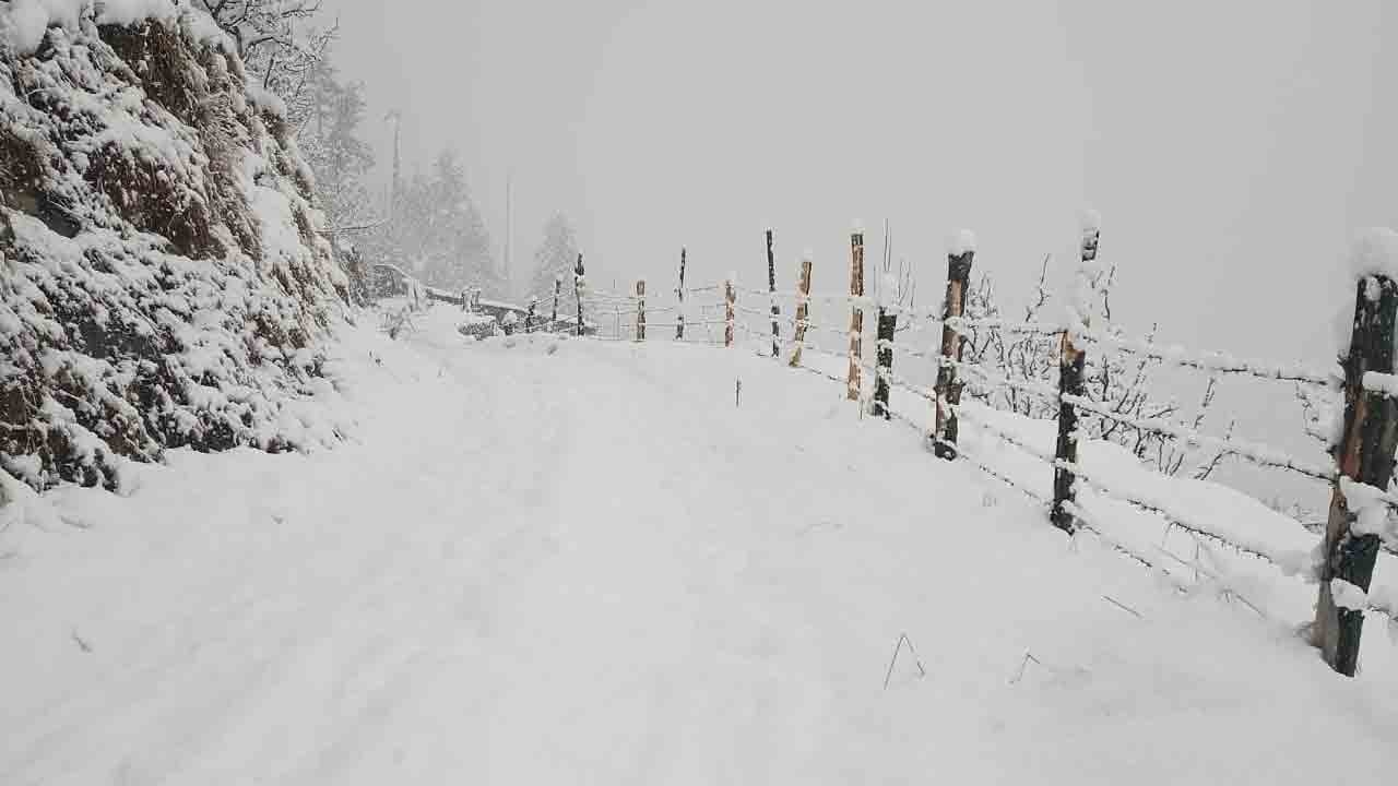 Himachal Pradesh | హిమాచల్‌పై మంచు దుప్పటి.. జాతీయ రహదారులు సహా 170 రోడ్లు మూసివేత..!