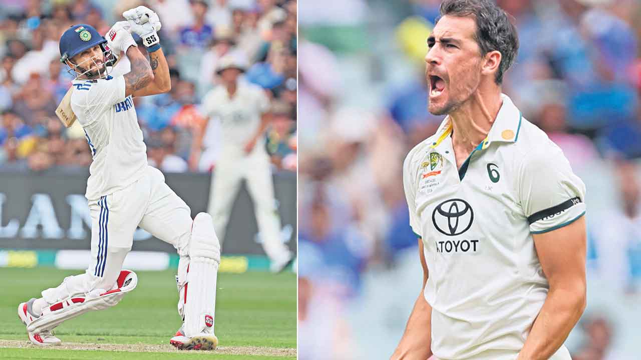 స్టార్క్ సిక్సర్