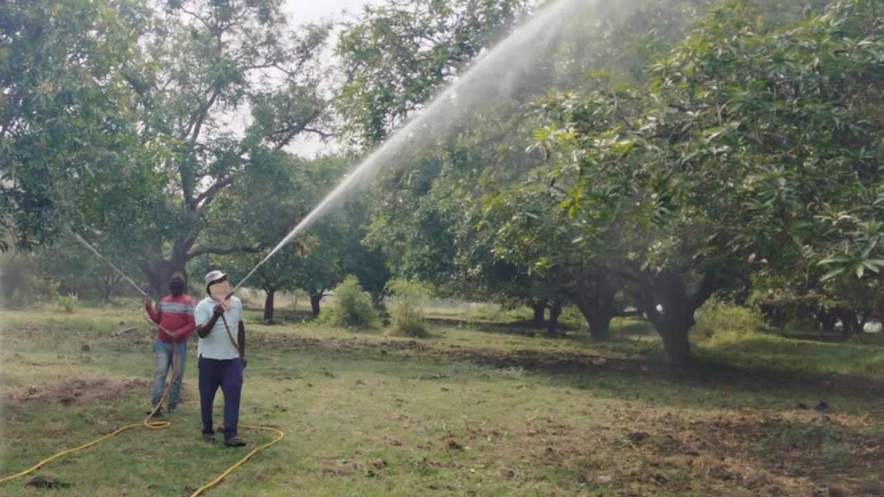పూత పాట్లు!