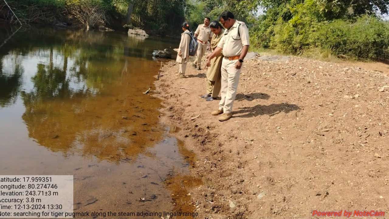 ఆళ్లపల్లికి పులొచ్చింది!
