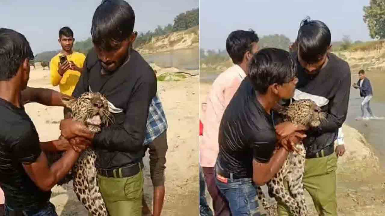 Leopard Strangled | చిరుతను పట్టుకుని.. గొంతునొక్కి చంపారు