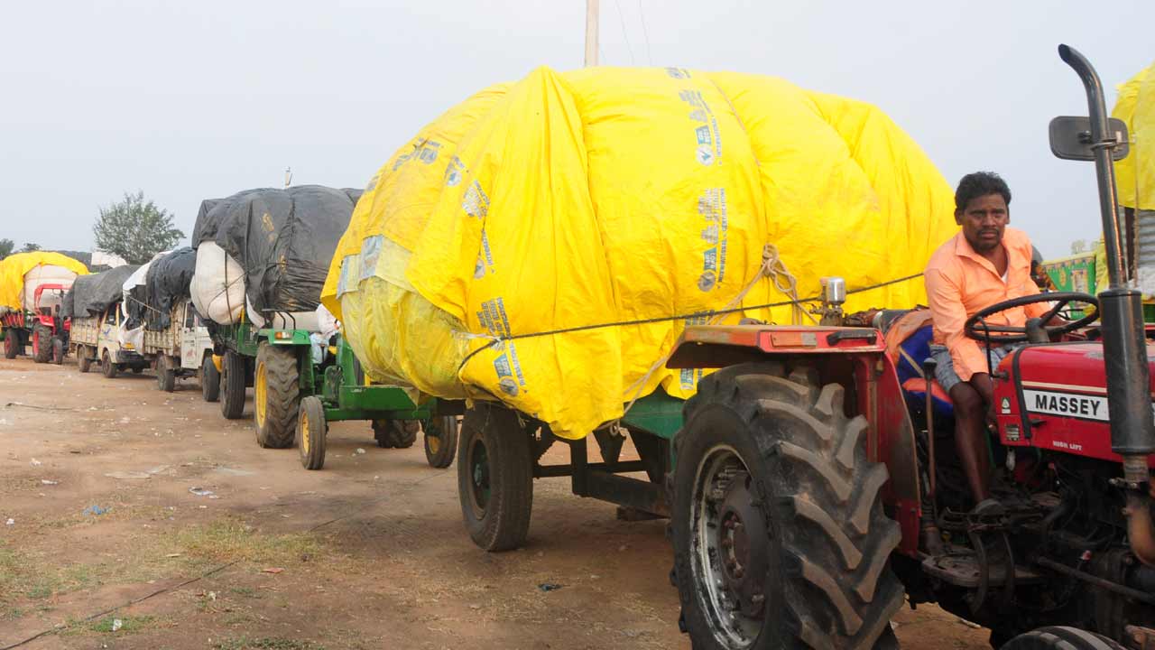 పత్తిని కొనుగోలు చేయాలి