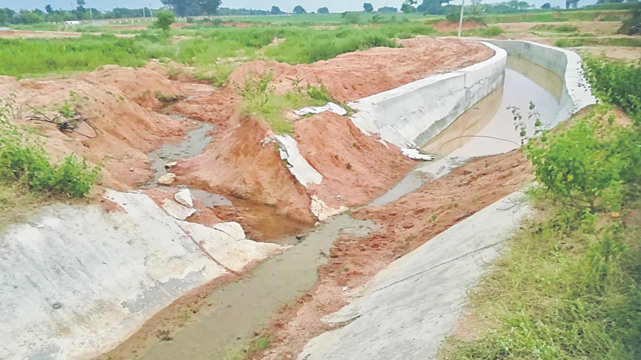 Medak5
