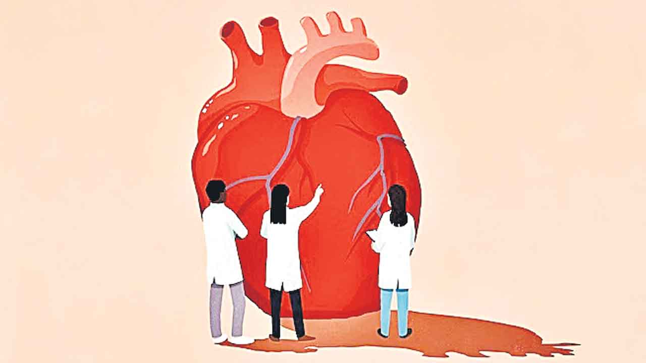 Mini Brain | గుండెలో మినీ బ్రెయిన్‌.. హృదయ స్పందనను నియంత్రించేది అదే!