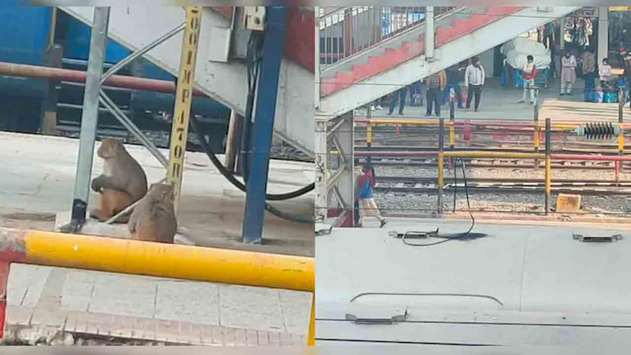Monkeys Fight Halts Trains | రైల్వే స్టేషన్‌లో కోతులు ఫైట్‌.. ఆగిన పలు రైళ్లు