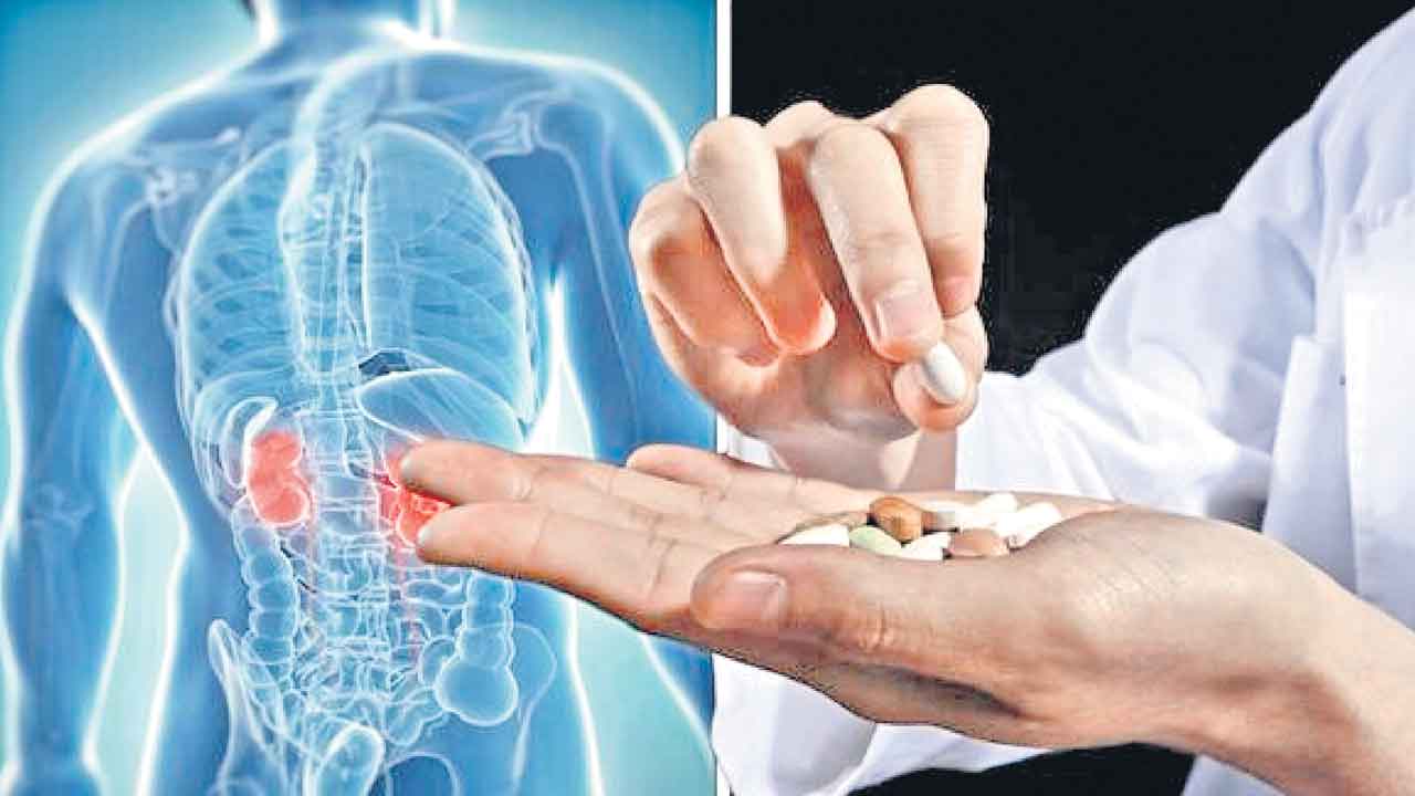 పారాసిటమాల్‌తో వృద్ధుల గుండె, కిడ్నీలకు చేటు!