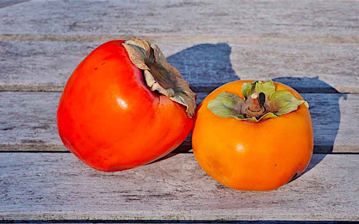 Persimmons | ఈ పండ్లు మీకు ఎక్క‌డ క‌నిపించినా విడిచిపెట్ట‌కుండా తెచ్చి తినండి.. ఎందుకంటే..?