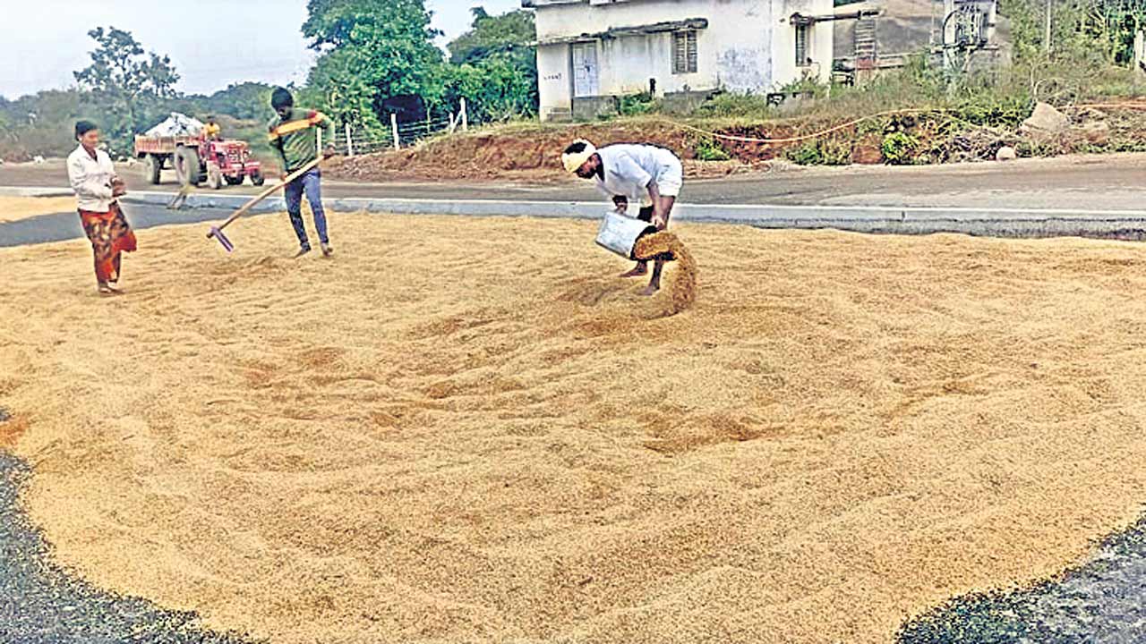 తడిసిన ధాన్యాన్ని కొనాలి