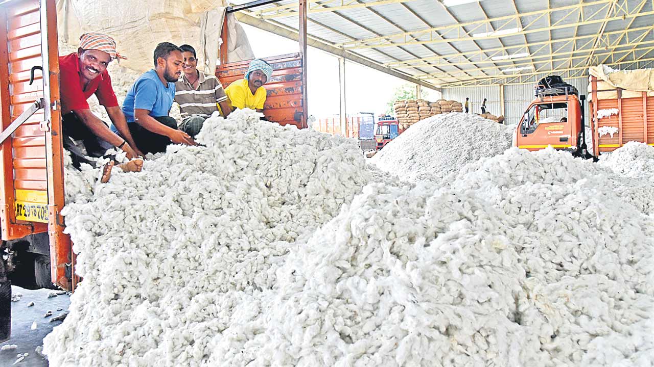 పత్తి పైసలు రాలే..