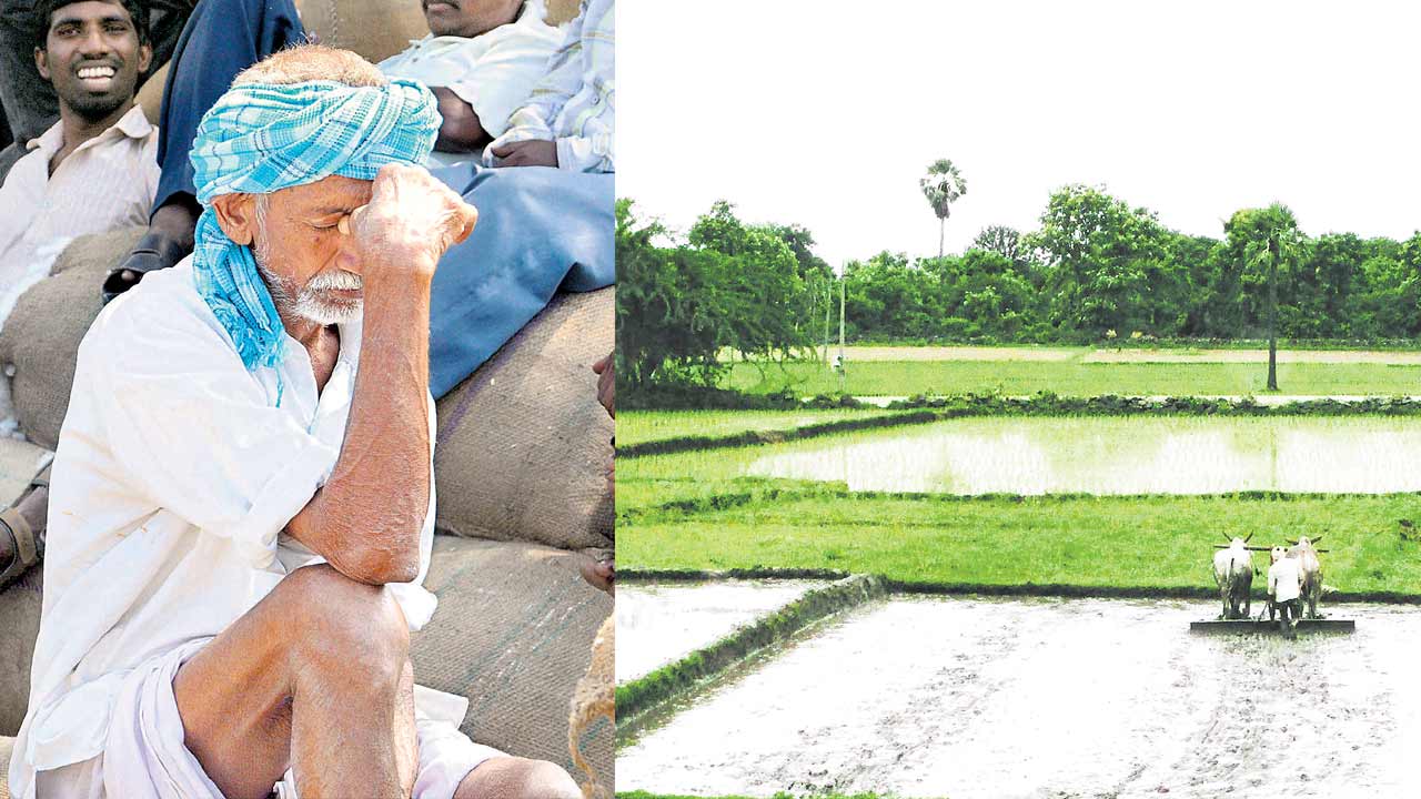 మాఫీ అయ్యేనా