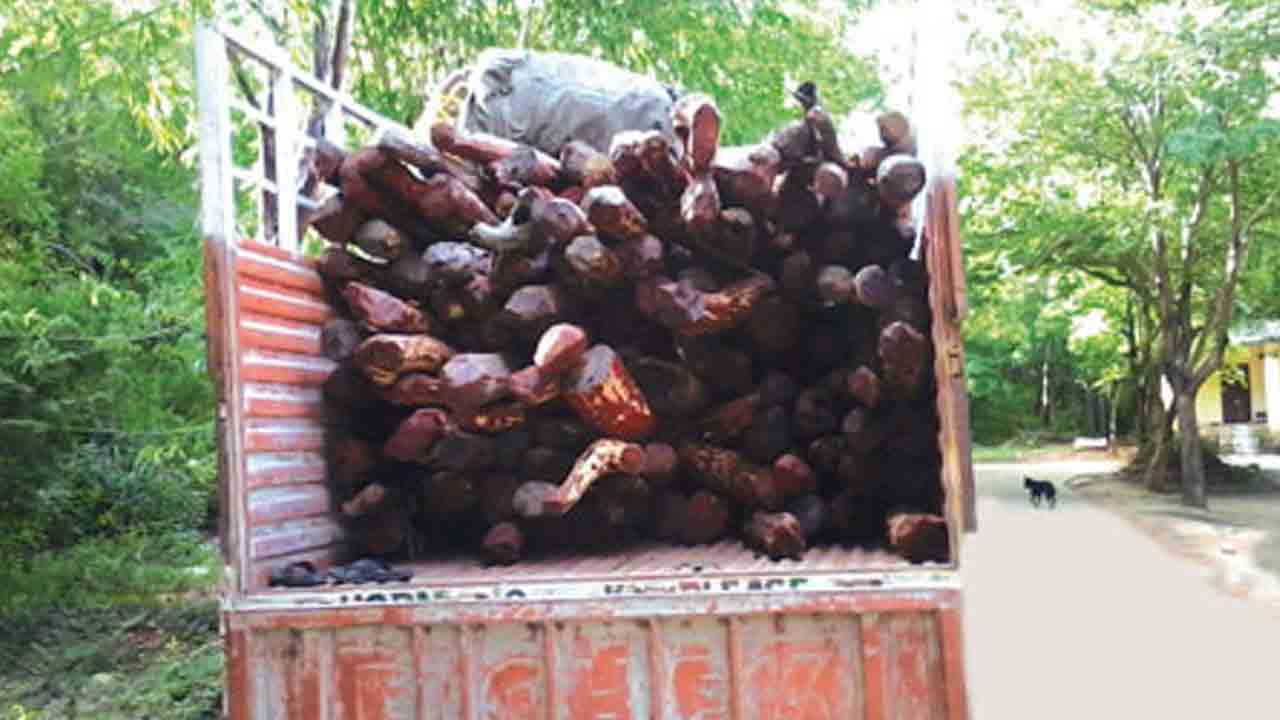 Potato Smuggling | పుష్ప బాటలో.. పశువుల మేత ముసుగులో ఆలుగడ్డల స్మగ్లింగ్‌
