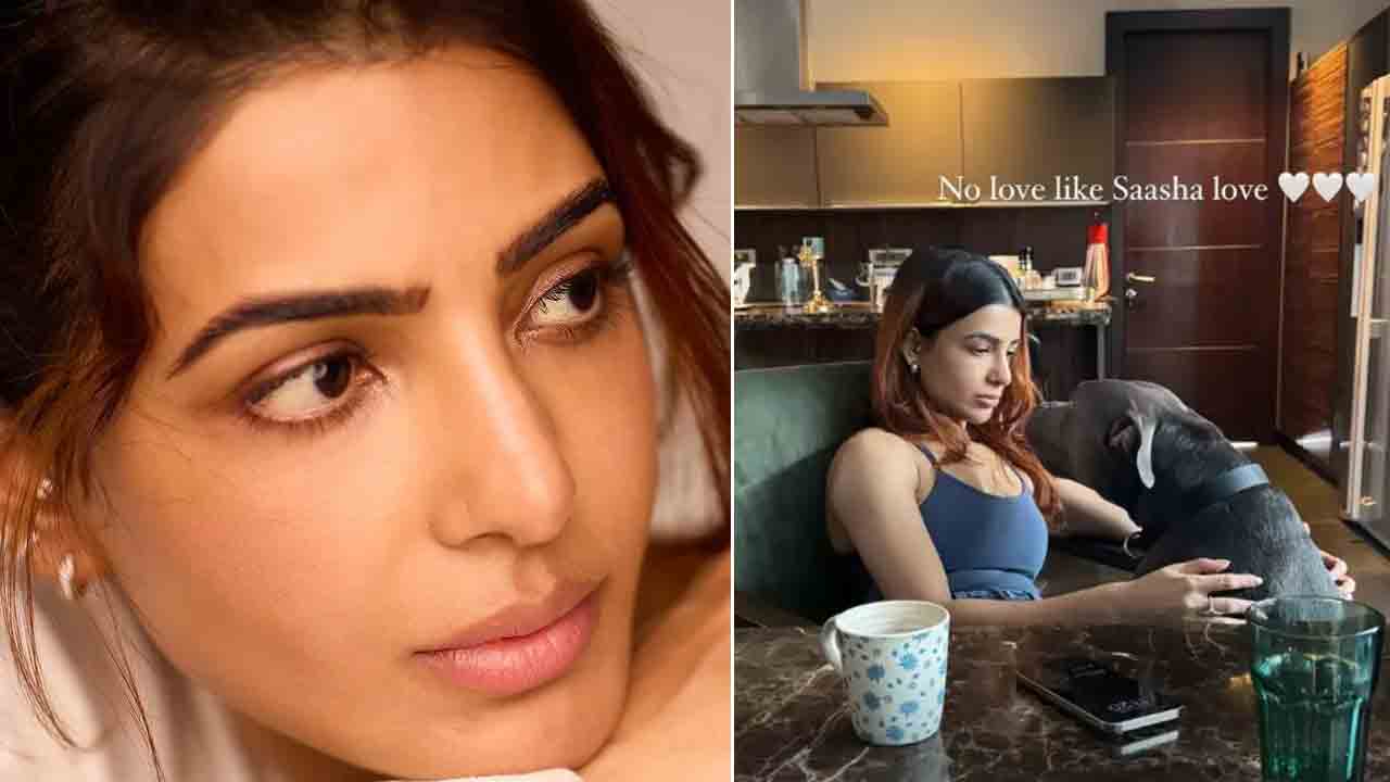 Samantha | అలాంటి ప్రేమ మరొకటి లేదు.. చైతూ-శోభిత పెళ్లి వేళ హాట్‌టాపిక్‌గా సమంత పోస్ట్‌లు