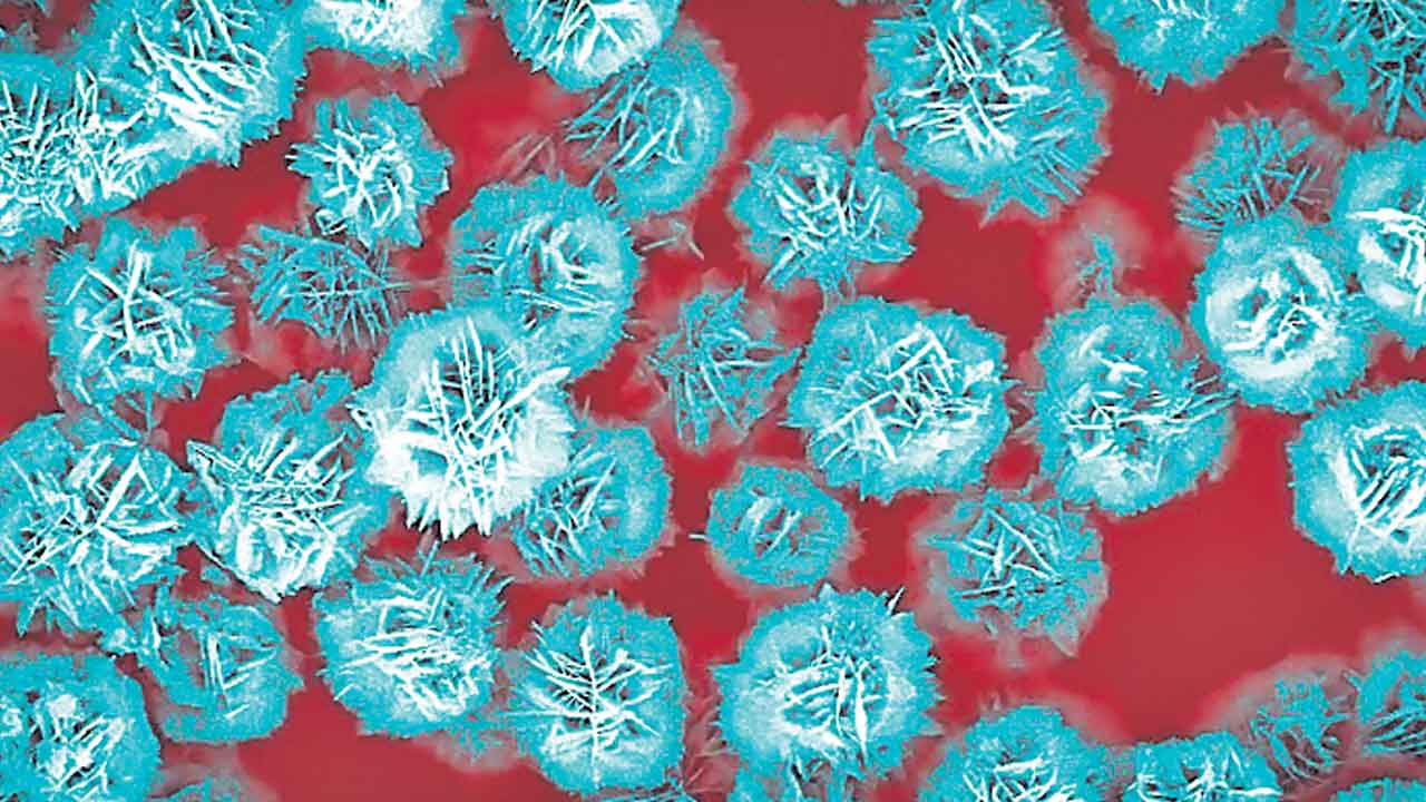 ETH | అవసరమైన అవయవానికే మందు.. అభివృద్ధి చేసిన స్విట్జర్లాండ్‌ శాస్త్రవేత్తలు