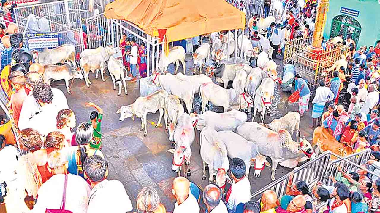 శివ శివా.. ఏమిటీ పాపం?