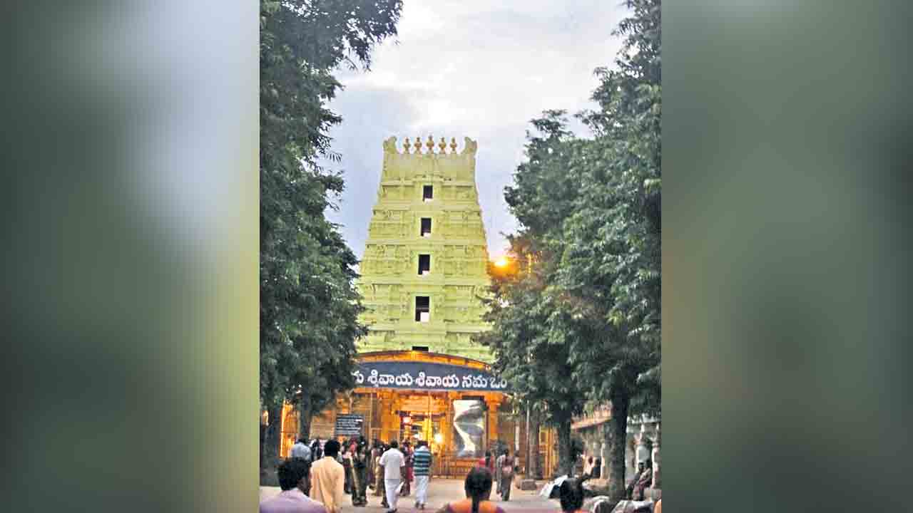 సోమశిల టు శ్రీశైలం కృష్ణమ్మపై ఓలలాడుతూ