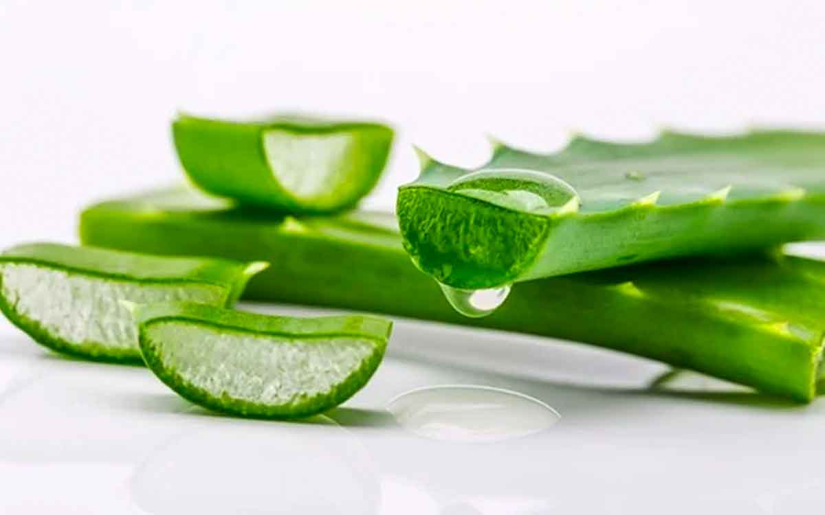 Aloe Vera | క‌ల‌బంద‌ను అస‌లు ఎలా తీసుకోవాలి..?