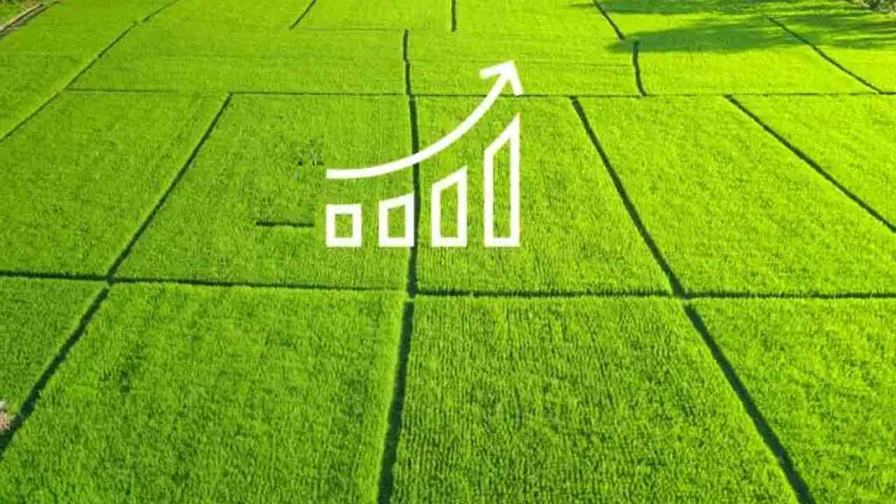 Land Value | ఏపీలో భూముల మార్కెట్‌ ధరలు పెంపు.. జోరుగా ప్రచారం